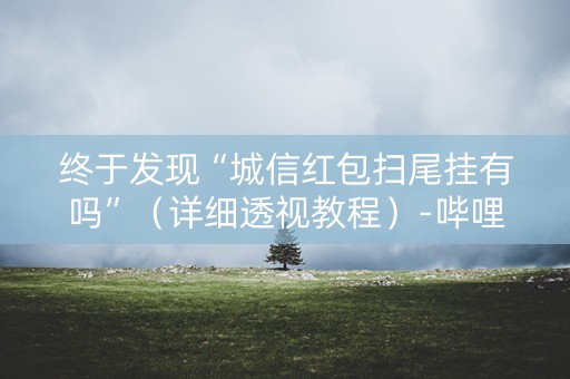 终于发现“城信红包扫尾挂有吗”（详细透视教程）-哔哩哔哩