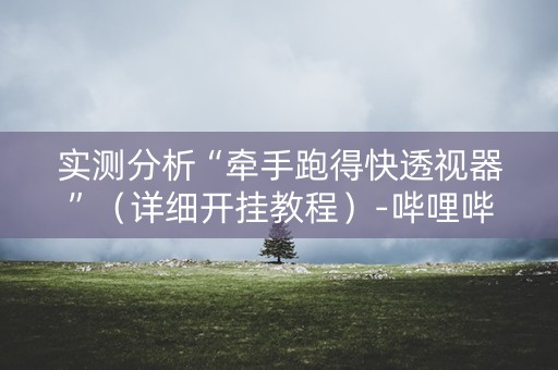 实测分析“牵手跑得快透视器”（详细开挂教程）-哔哩哔哩