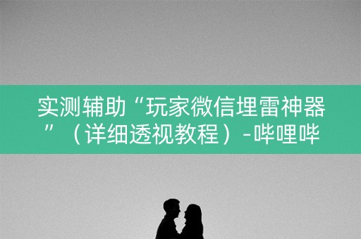 实测辅助“玩家微信埋雷神器”（详细透视教程）-哔哩哔哩