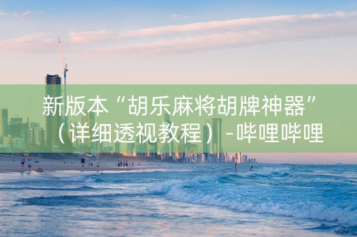 新版本“胡乐麻将胡牌神器”（详细透视教程）-哔哩哔哩