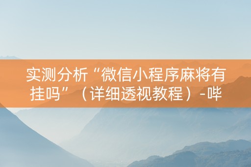 实测分析“微信小程序麻将有挂吗”（详细透视教程）-哔哩哔哩