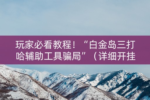 玩家必看教程！“白金岛三打哈辅助工具骗局”（详细开挂教程）-哔哩哔哩