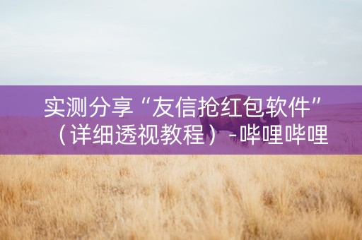 实测分享“友信抢红包软件”（详细透视教程）-哔哩哔哩