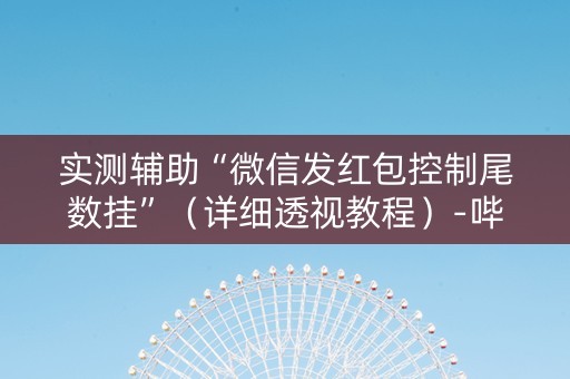 实测辅助“微信发红包控制尾数挂”（详细透视教程）-哔哩哔哩