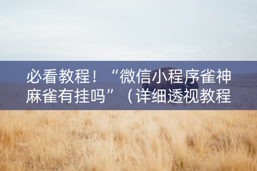 必看教程！“微信小程序雀神麻雀有挂吗”（详细透视教程）-哔哩哔哩