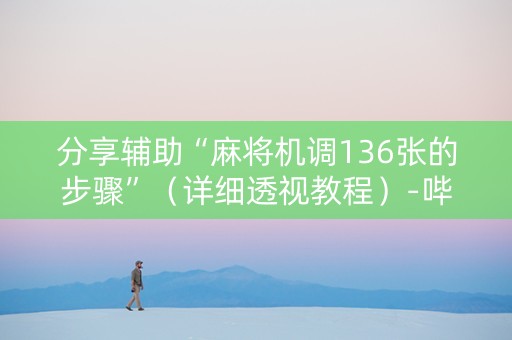 分享辅助“麻将机调136张的步骤”（详细透视教程）-哔哩哔哩