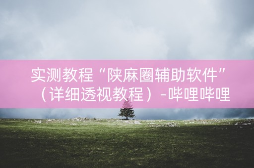 实测教程“陕麻圈辅助软件”（详细透视教程）-哔哩哔哩