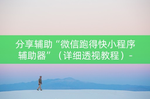 分享辅助“微信跑得快小程序辅助器”（详细透视教程）-哔哩哔哩