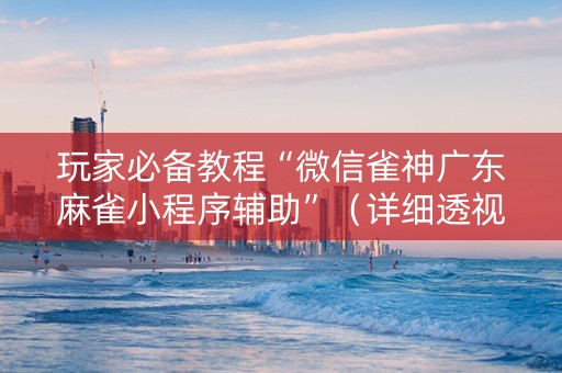 玩家必备教程“微信雀神广东麻雀小程序辅助”（详细透视教程）-哔哩哔哩