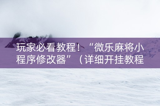 玩家必看教程！“微乐麻将小程序修改器”（详细开挂教程）-哔哩哔哩