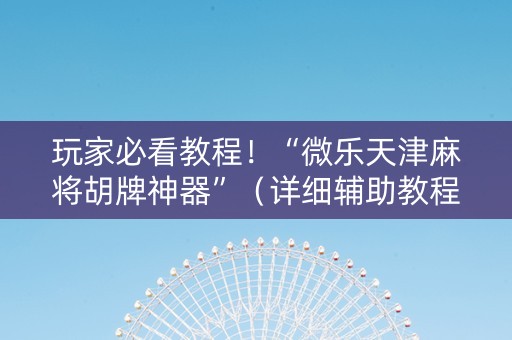 玩家必看教程！“微乐天津麻将胡牌神器”（详细辅助教程）-哔哩哔哩