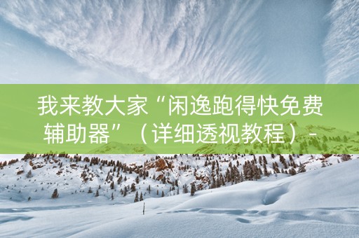 我来教大家“闲逸跑得快免费辅助器”（详细透视教程）-哔哩哔哩