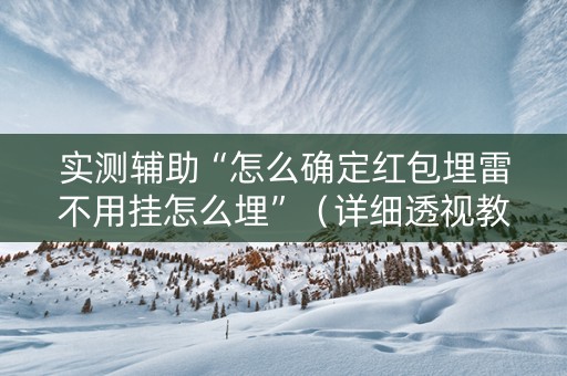 实测辅助“怎么确定红包埋雷不用挂怎么埋”（详细透视教程）-哔哩哔哩