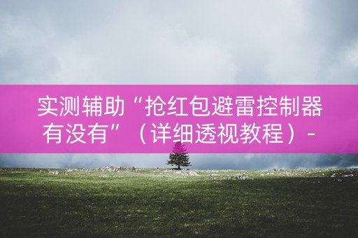 实测辅助“抢红包避雷控制器有没有”（详细透视教程）-哔哩哔哩