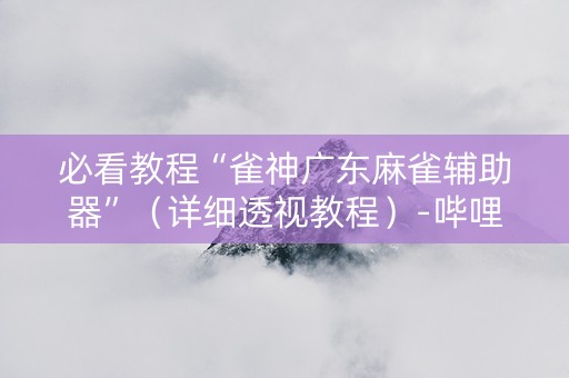 必看教程“雀神广东麻雀辅助器”（详细透视教程）-哔哩哔哩