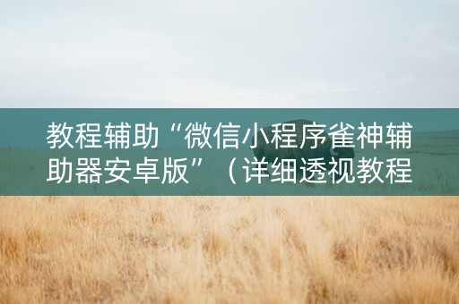 教程辅助“微信小程序雀神辅助器安卓版”（详细透视教程）-哔哩哔哩