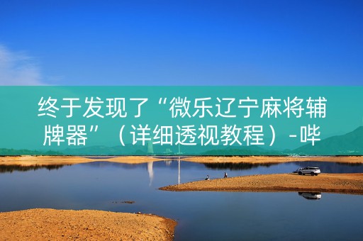 终于发现了“微乐辽宁麻将辅牌器”（详细透视教程）-哔哩哔哩