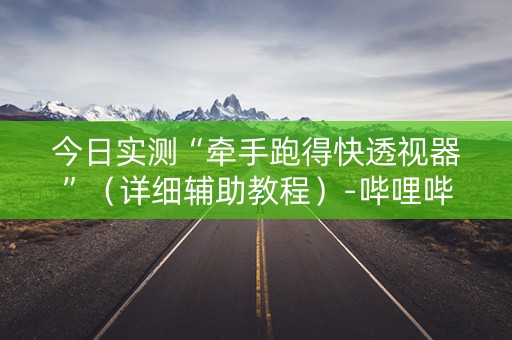 今日实测“牵手跑得快透视器”（详细辅助教程）-哔哩哔哩
