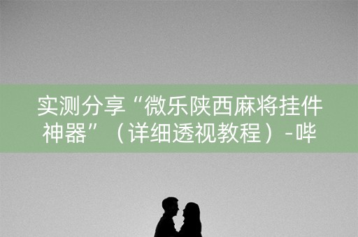 实测分享“微乐陕西麻将挂件神器”（详细透视教程）-哔哩哔哩