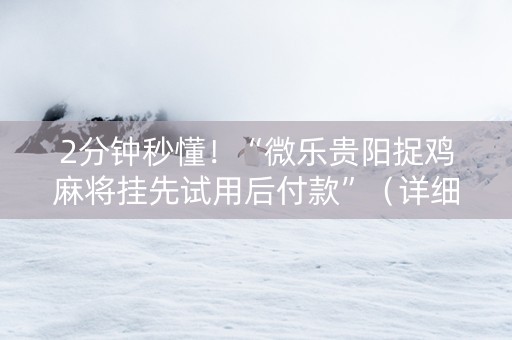 2分钟秒懂！“微乐贵阳捉鸡麻将挂先试用后付款”（详细透视教程）-哔哩哔哩