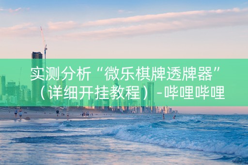 实测分析“微乐棋牌透牌器”（详细开挂教程）-哔哩哔哩