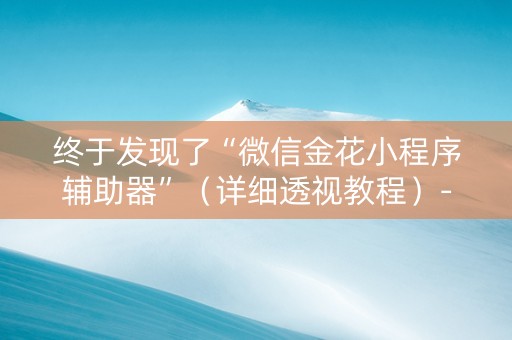 终于发现了“微信金花小程序辅助器”（详细透视教程）-哔哩哔哩