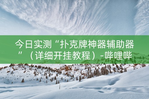 今日实测“扑克牌神器辅助器”（详细开挂教程）-哔哩哔哩