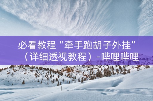 必看教程“牵手跑胡子外挂”（详细透视教程）-哔哩哔哩