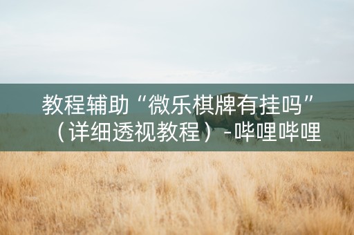教程辅助“微乐棋牌有挂吗”（详细透视教程）-哔哩哔哩