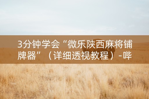 3分钟学会“微乐陕西麻将铺牌器”（详细透视教程）-哔哩哔哩