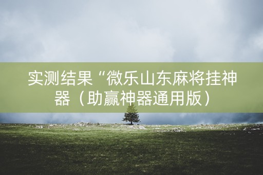 实测结果“微乐山东麻将挂神器（助赢神器通用版）