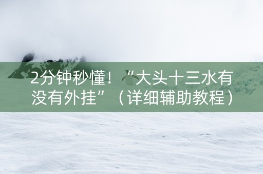 2分钟秒懂！“大头十三水有没有外挂”（详细辅助教程）-哔哩哔哩