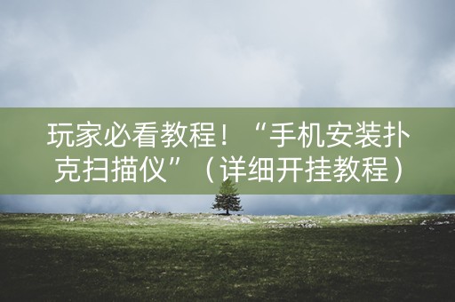 玩家必看教程！“手机安装扑克扫描仪”（详细开挂教程）-哔哩哔哩