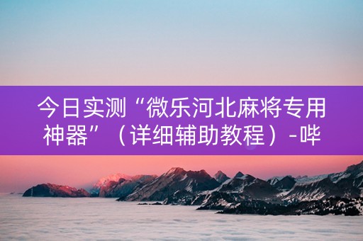 今日实测“微乐河北麻将专用神器”（详细辅助教程）-哔哩哔哩