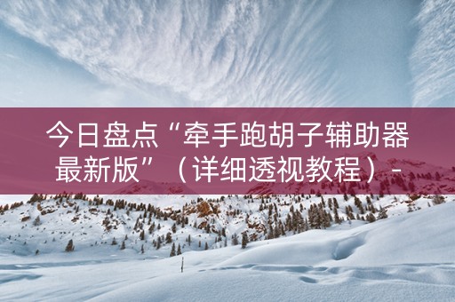 今日盘点“牵手跑胡子辅助器最新版”（详细透视教程）-哔哩哔哩