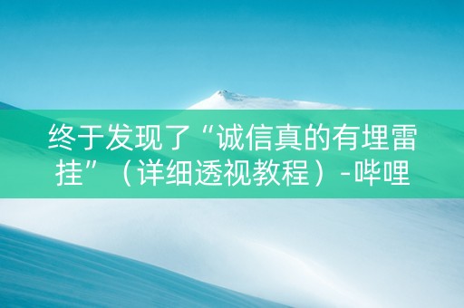 终于发现了“诚信真的有埋雷挂”（详细透视教程）-哔哩哔哩