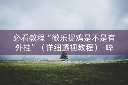 必看教程“微乐捉鸡是不是有外挂”（详细透视教程）-哔哩哔哩