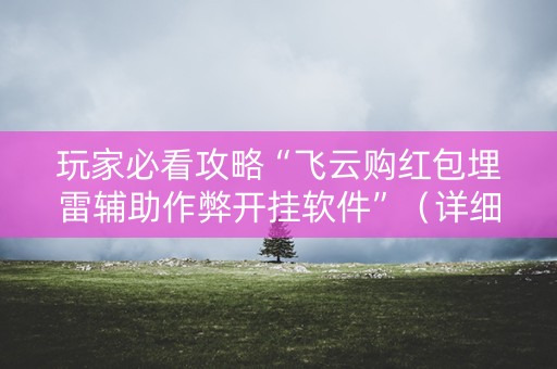 玩家必看攻略“飞云购红包埋雷辅助作弊开挂软件”（详细透视教程）-哔哩哔哩