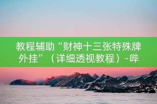 教程辅助“财神十三张特殊牌外挂”（详细透视教程）-哔哩哔哩