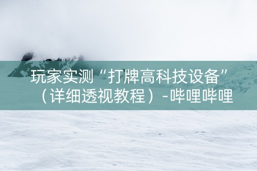 玩家实测“打牌高科技设备”（详细透视教程）-哔哩哔哩