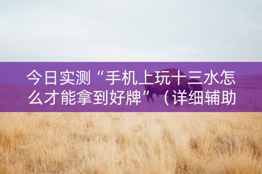 今日实测“手机上玩十三水怎么才能拿到好牌”（详细辅助教程）-哔哩哔哩