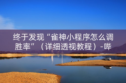 终于发现“雀神小程序怎么调胜率”（详细透视教程）-哔哩哔哩