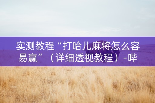 实测教程“打哈儿麻将怎么容易赢”（详细透视教程）-哔哩哔哩