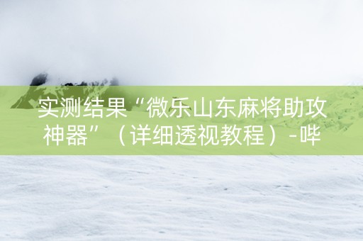 实测结果“微乐山东麻将助攻神器”（详细透视教程）-哔哩哔哩