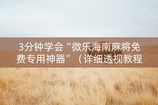 3分钟学会“微乐海南麻将免费专用神器”（详细透视教程）-哔哩哔哩