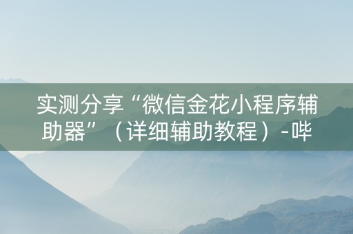 实测分享“微信金花小程序辅助器”（详细辅助教程）-哔哩哔哩