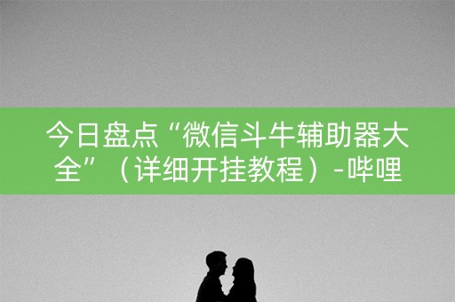 今日盘点“微信斗牛辅助器大全”（详细开挂教程）-哔哩哔哩