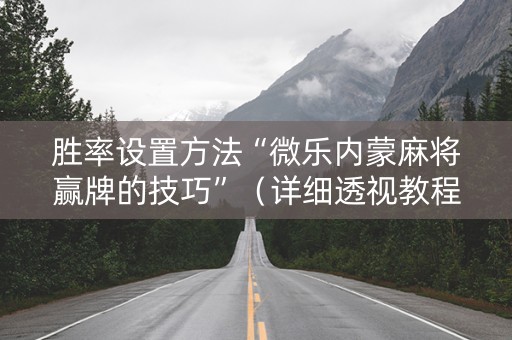 胜率设置方法“微乐内蒙麻将赢牌的技巧”（详细透视教程）-哔哩哔哩