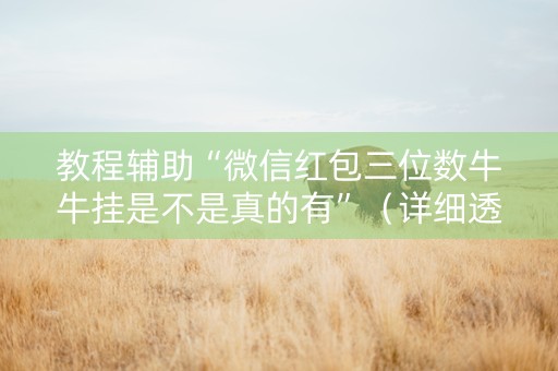教程辅助“微信红包三位数牛牛挂是不是真的有”（详细透视教程）-哔哩哔哩
