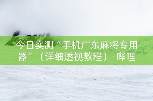 今日实测“手机广东麻将专用器”（详细透视教程）-哔哩哔哩